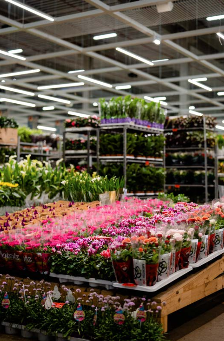 Blomsterhandel på Copenhagen Markets